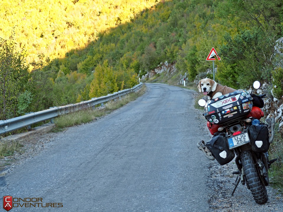 biker dog-brigi-explorealbania-motoros túra-condorriders-sasok földje-albánia-sh75