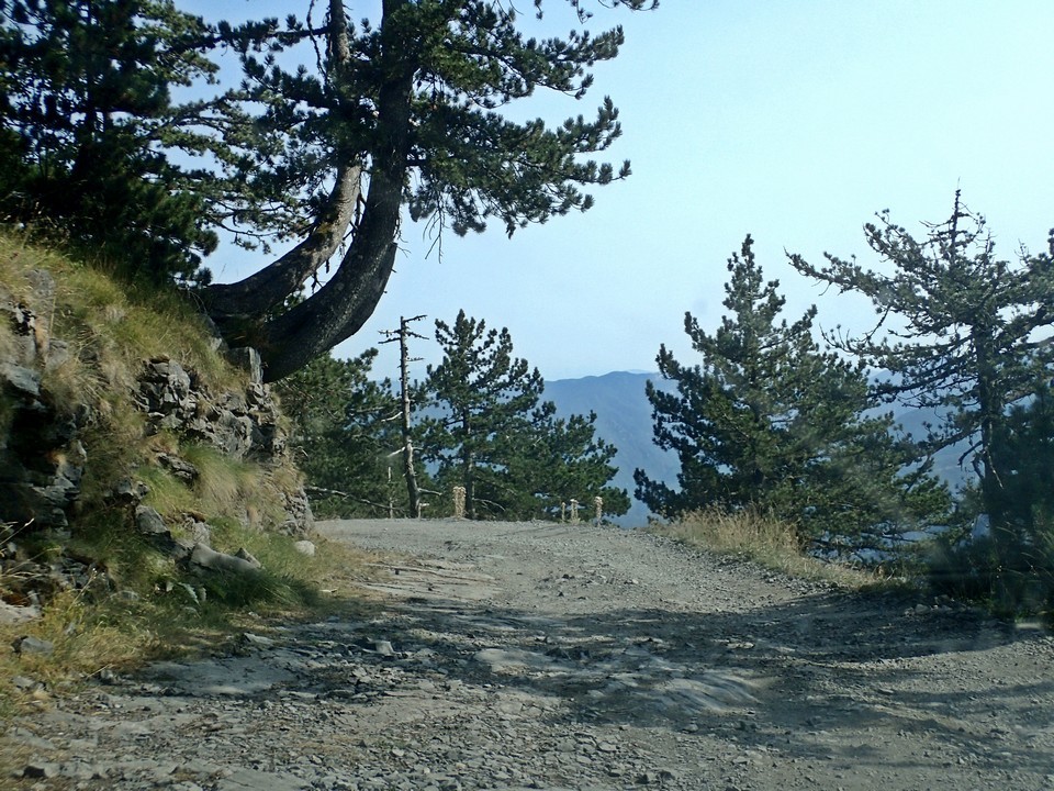 off-road